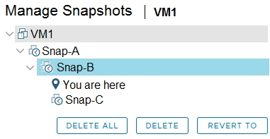 Manage Snapshots | vmi

v &VM1
v @Snap-A
9 You are here
@ Snap-C

DELETE ALL REVERT TO