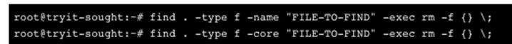 root@tryit-sought:-# find . -type f -name "FILE-TO-FIND" -exec rm -f {} \;

root@tryit-sought:-# find . -type f -core "FILE-TO-FIND" -exec rm -f {} \;