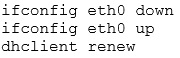 ifconfig eth0 down
ifconfig ethO up
dhclient renew