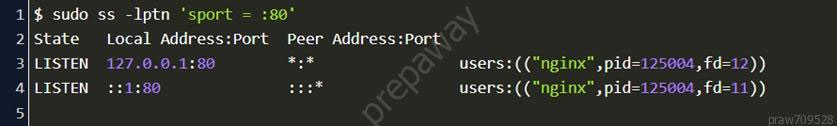 weuwne

$ sudo ss -lptn ‘sport = :
State Local Address:Port
LISTEN 127.0.0.1:80
LISTEN 1:80

Peer Address:Port
eee

py

users: ((“nginx" ,pid=125004, fd=12))
users: ((“nginx” , pid=125004, fd=11))