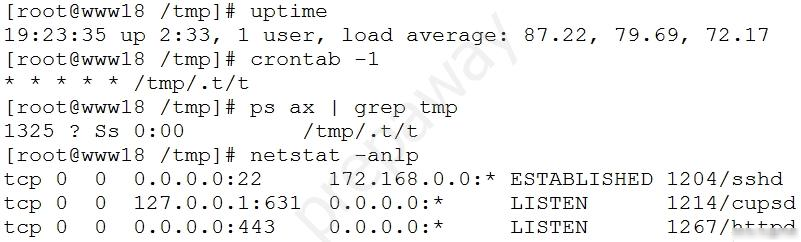 [root@www18 /tmp]# uptime

19:23:35 up 2:33, 1 user, load average: 87.22, 79.69, 72.17
[root@www18 /tmp]# crontab -1

ee 2 RUS / bop /et le

[root@www18 /tmp]# ps ax | grep tmp

1325 ? Ss 0:00 /tmp/.t/t
[root@wwwl8 /tmp]# netstat -anlp

tcp 0 0 0.0.0.0:22 172.168.0.0:* ESTABLISHED 1204/sshd
tcp 0 0 127.0.0.1:631 0.0.0. LISTEN 1214/cupsd
tcp 0 0 0.0.0.0:443 0.0.0. LISTEN 1267/httoad