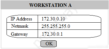 WORKSTATION A

“PaAdaew 1172300100
TP Address_| 172.30.0.10
‘Netmask 255.255.255.0

Gateway 172.30.0.1