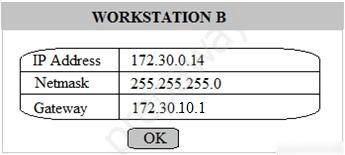 WORKSTATION B

TP Address

hina
172.30.0.14

‘Netmask

255.255.255.0

Gateway

172.30.10.1