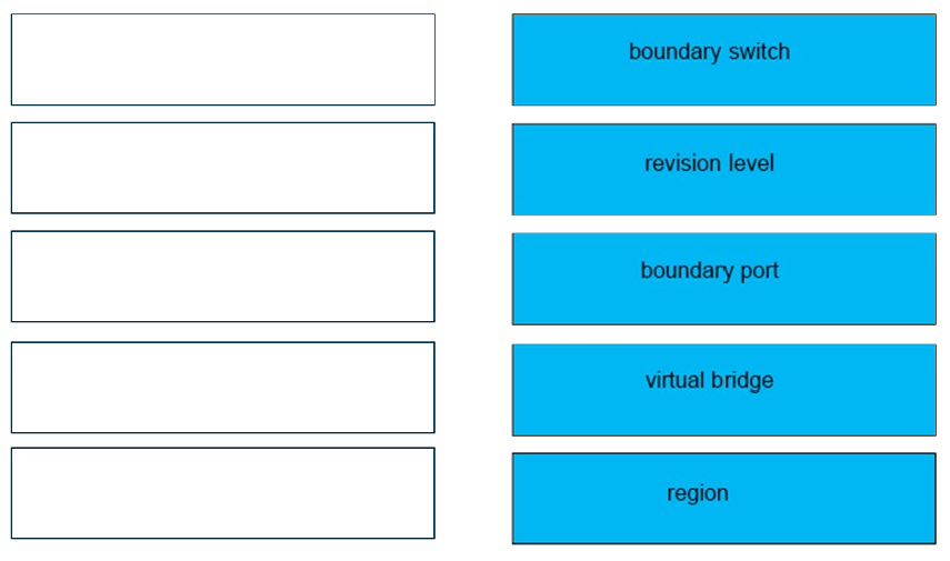 boundary switch

revision level

boundary port

virtual bridge

region