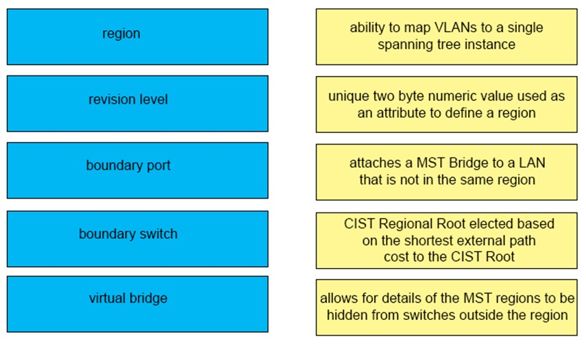 region

revision level

boundary port

boundary switch

virtual bridge