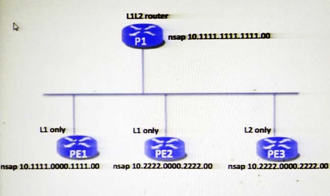 LZ router:
&
i | nsap 10.1111-1111.1111.00°

U1 only U only \Zonly |

a Ss Ss

nsap 10.1121.0000.1111.00 _nsap 10.2222.0000.2222.00 _nsap 10.2222.0000.2222.00