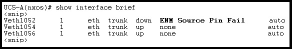 UCS-A(nxos)# show interface brief
<snip>

Vethi052 eth trunk dow ENM Source Pin Fail

Veth1054 eth trunk up none
VWeth1056 eth trunk up none
<snip>