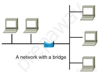 Anetwork with a bridge