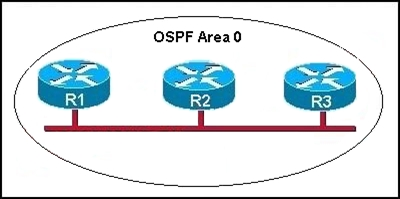 OSPF Area
~.