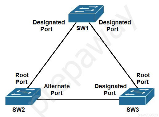 ia,

lesignated
swi Port

Designated
Port

Root
Port

Root
Port

Alternate Designated
Port Port

sw2 SW3