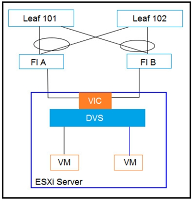 Leaf 101

Leaf 102