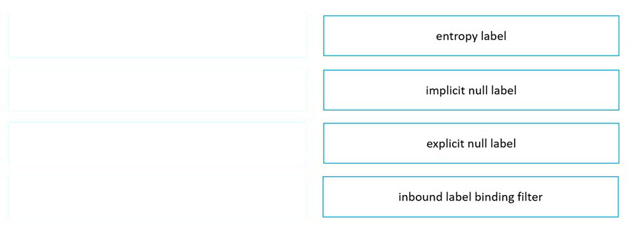 entropy label

implicit null label

explicit null label

inbound label binding filter