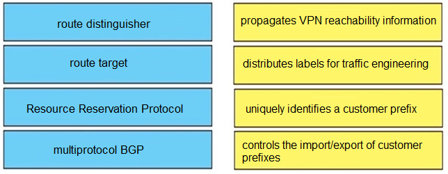 route distinguisher

propagates VPN reachability information

route target

distributes labels for traffic engineering

Resource Reservation Protocol

uniquely identifies a customer prefix

multiprotocol BGP

controls the importiexport of customer
prefixes