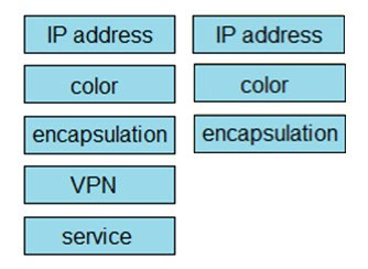 IP address IP address
color color
encapsulation| | encapsulation
VPN

service