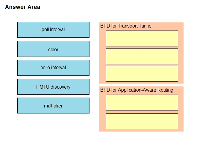 Answer Area

BFD for Transport Tunnel

BFD for Application-Aware Routing