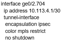 interface ge0/2.704
ip address 10.113.4.1/30
tunnel-interface
encapsulation ipsec
color mpls restrict
no shutdown