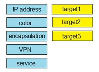 IP address

color

encapsulation

VPN

service