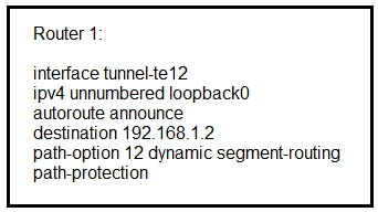 Router 1

interface tunnel-te12
ipv4 unnumbered loopbackO

autoroute announce
destination 192.168.1.2

path-option 12 dynamic segment-routing
path-protection
