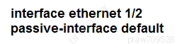 interface ethernet 1/2
Ppassive-interface default