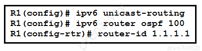 Rl (config)# ipv6 unicast-routing
Rl (config)# ipv6 router ospf 100

Rl (config-rtr)# router-id 1.1.1.1